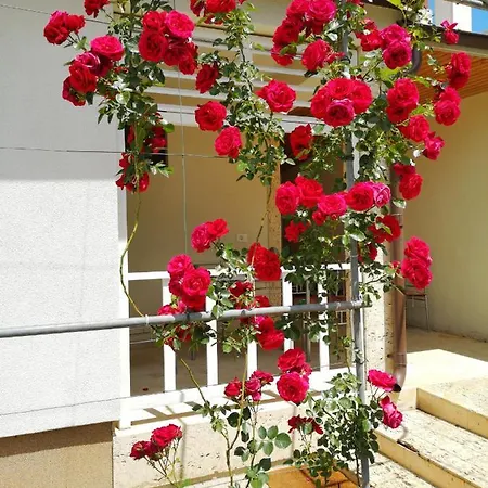 Gæstehus Brize Tuzla