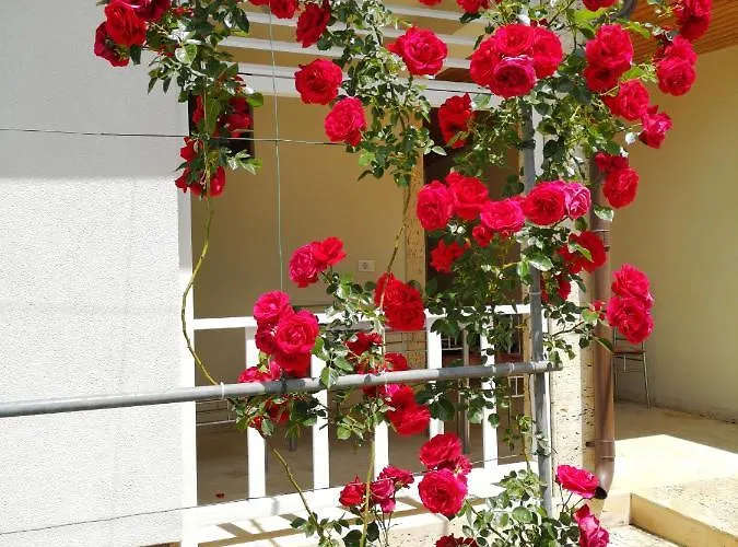 Gæstehus Brize Tuzla